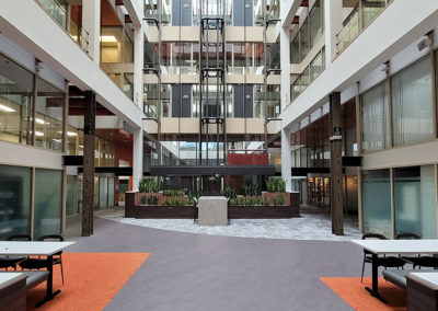 Court International Atrium Remodel