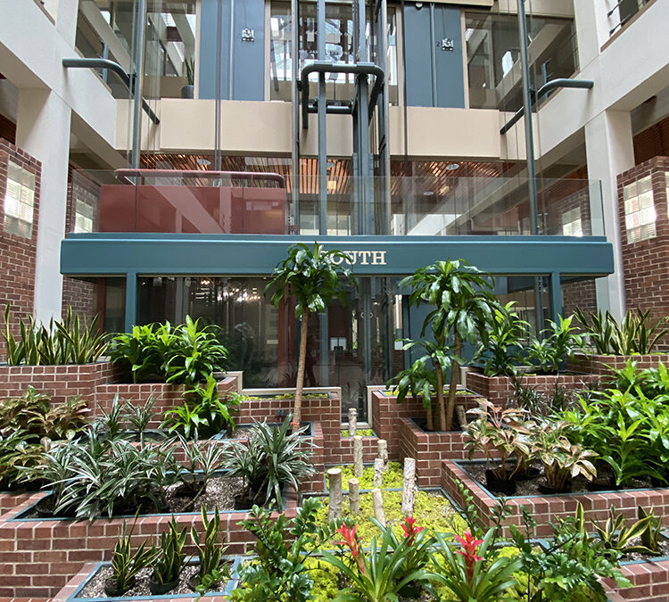 archimea_court_south_before